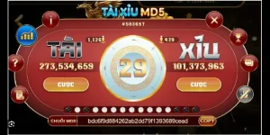 Cách Chơi Tài Xỉu