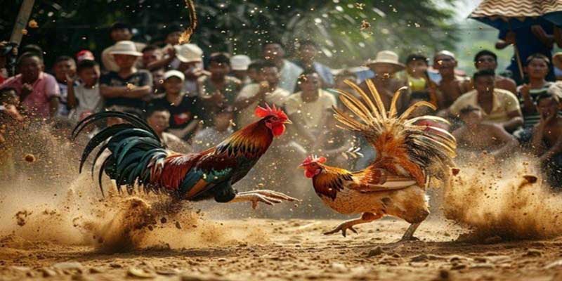 Cược Hòa – Tỷ lệ cược hấp dẫn khi trận đấu kết thúc bất phân thắng bại