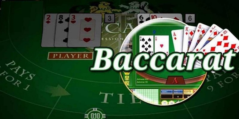 Sơ lược cụ thể chi tiết về Tool dự đoán baccarat tại xin88